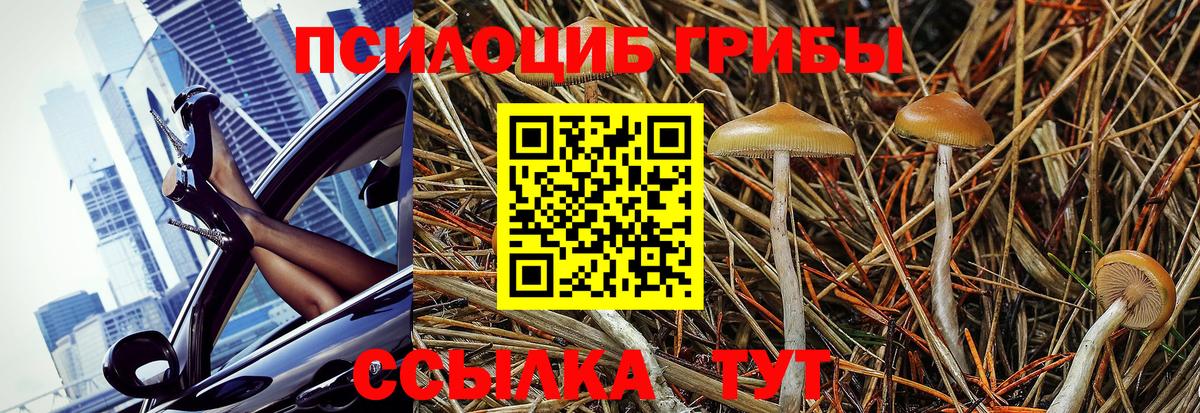 Псилоцибиновые грибы GOLDEN TEACHER Южно-Сахалинск