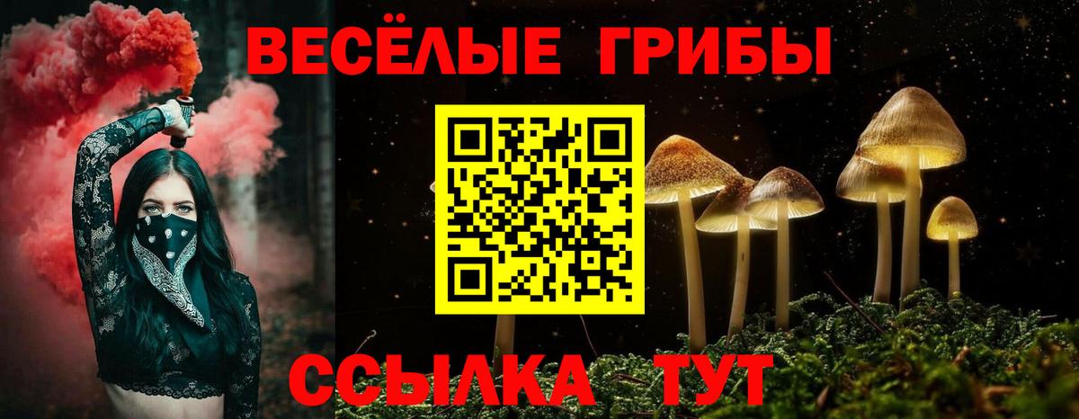 Галлюциногенные грибы MAGIC MUSHROOMS  Вход с VPN  цена   Южно-Сахалинск 